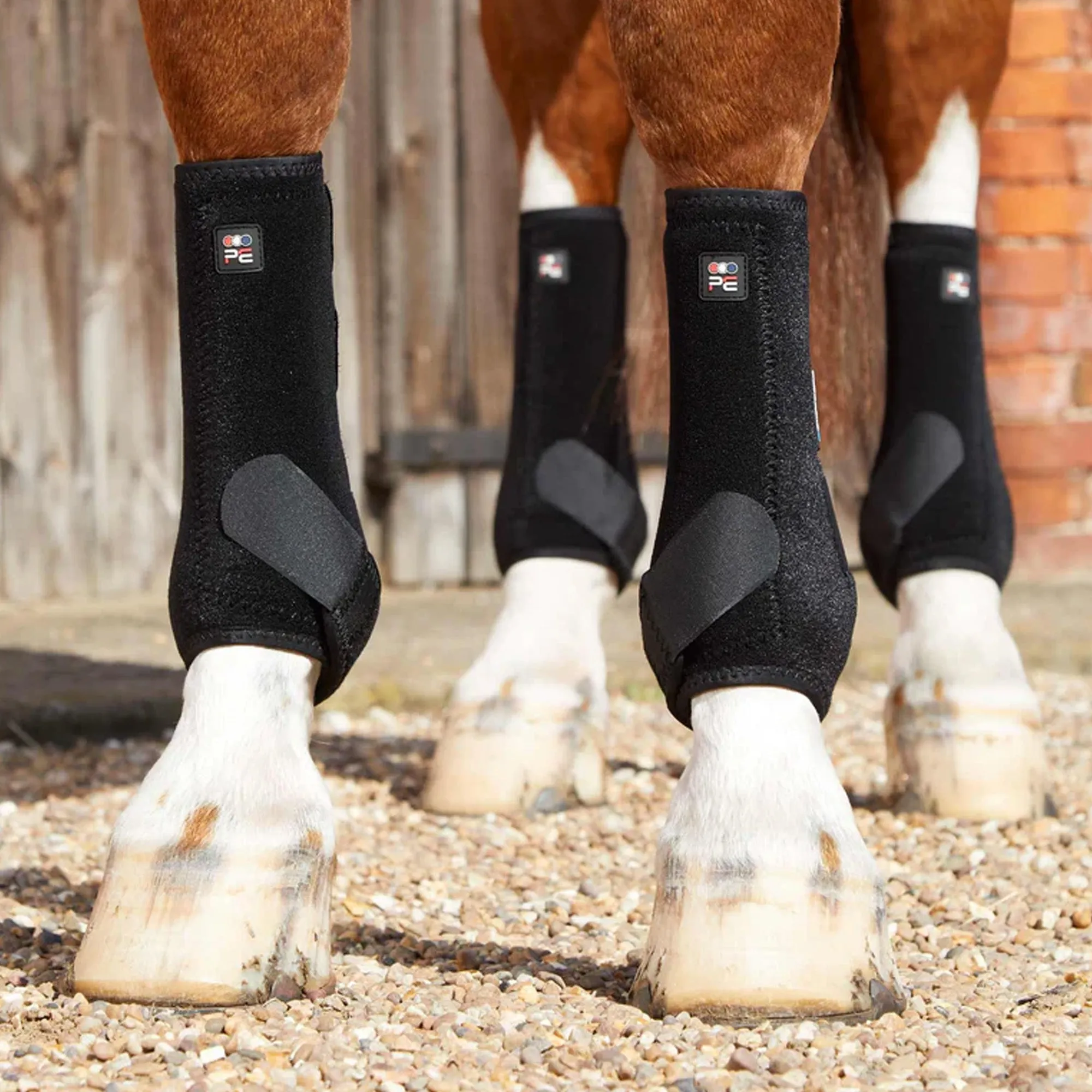 Premier Equine Air-Tech Sports Medicine Boots