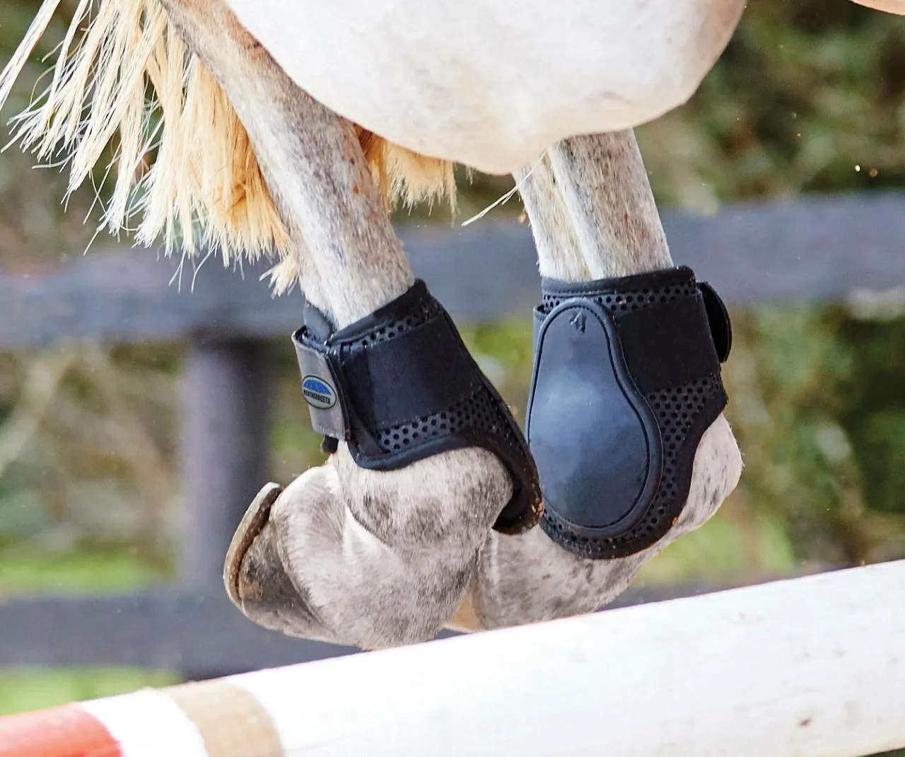 Weatherbeeta Lite Fetlock Boots